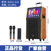 爱浪(Avlight)DS11-212广场舞音响带显示屏拉杆户外演出户外网红直播蓝牙音箱无线麦克风内置声卡