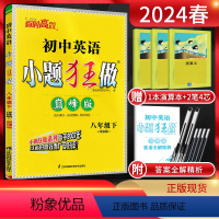 英语 八年级下 [正版]2024春 恩波教育初中英语八年级下册译林版YL 巅峰版 初二8年级英语下江苏版同步课时作业教辅
