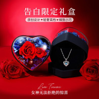 鑫铂尼XINPLANE999足银女士简约锁骨链项链璀璨锆石镶嵌优雅时尚设计