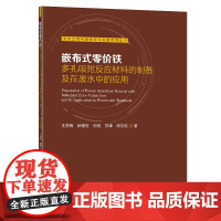 嵌布式零价铁多孔吸附反应材料的制备及在废水中的应用王勇梅杨德旺周刚苏锋周宇航著东南大学出版社