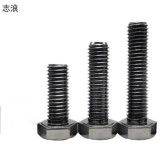 志浪 六角头螺栓10*60 个