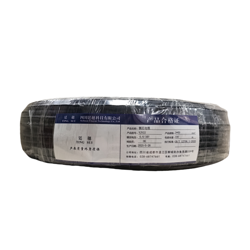 廷穗(TINGSUI)铜芯电缆YJV22-0.6/1KV-2*50 米
