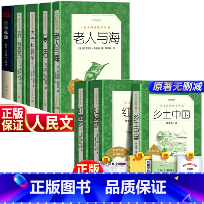 [高中必读全8册]大卫+复活+老人+百年孤独+红楼梦+乡土中国+赠品 [正版]全套5册 复活+百年孤独+老人与海+大卫