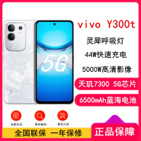 [全新]vivo Y300t 8GB+256GB 岩白 天玑7300 5G芯 6500mAh电池 44W充电 5000万高清影像 5G 手机