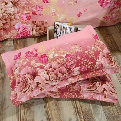 SleepyBear秋冬枕套枕头套一对装一只成人情侣单人加大号学生宿舍枕芯套