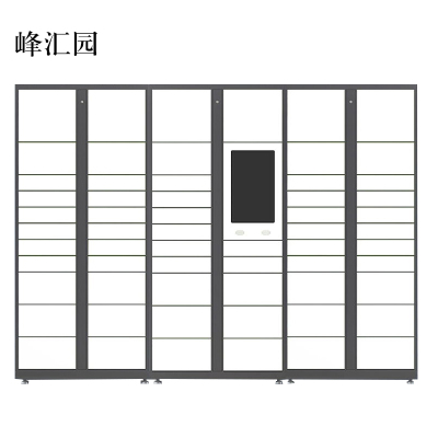 峰汇园智能快递柜小区快递自提柜派件柜室外寄存柜信报箱储物柜一主两幅61格