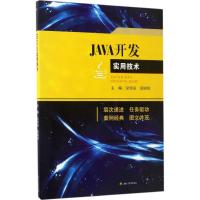 JAVA实用教程