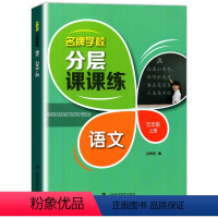 五年级上语文单本 小学通用 [正版]学校分层课课练任选语文数学英语N版一二三三四五六八七九年级上第一学期小学初中用课后A