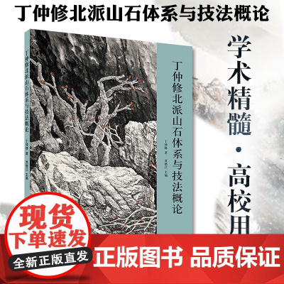 丁仲修北派山石体系与技法概论 笔墨技法绘画书 艺术绘画 国画绘画系列 北京工艺美术出版社 正版