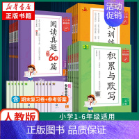 [3本套]默写+阅读+句式 五年级上 [正版]2024/25适用 53小学基础练人教版 一二三年级积累与默写上下册句式训