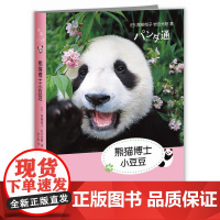熊猫博士小豆豆(