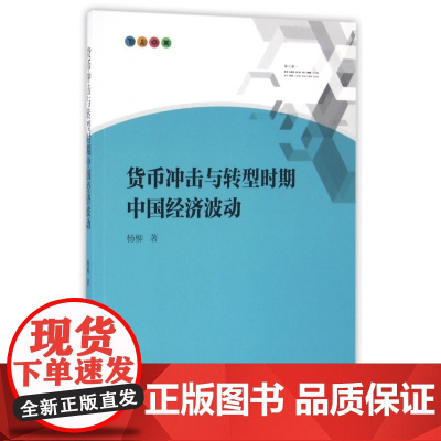 货币冲击与转型时期中国经济波动