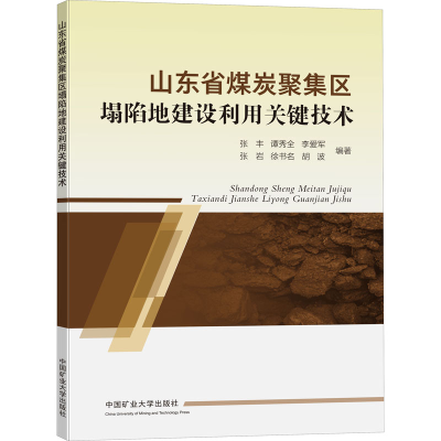 醉染图书山东省煤炭聚集区塌陷地建设利用关键技术9787564649555