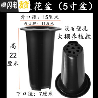 三维工匠塑料加厚加高兰盆带壁孔和不带壁孔款式花盆底自带沥水罩 6号兰花盆[5寸]没有拖盘 5个[同号]花盆容器