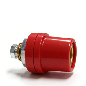 锴晟 插座电料 K22P-2 个
