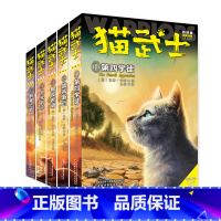 猫武士新版四部曲星预言(6册) [正版]BK猫武士新版四部曲星预言(6册)