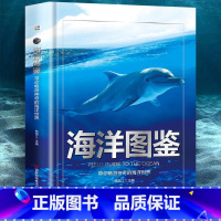 [单本]海洋图鉴 [正版]枪图鉴带你体验真实的枪械世界精装硬壳儿童百科全书图鉴幼儿读物科学绘本故事6-12岁小学生科普百