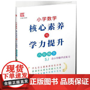 小学数学核心素养与学力提升 六年级6年级下(苏教版)