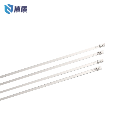 值盾 ZSYDON 304不锈钢扎带 8*200mm 条