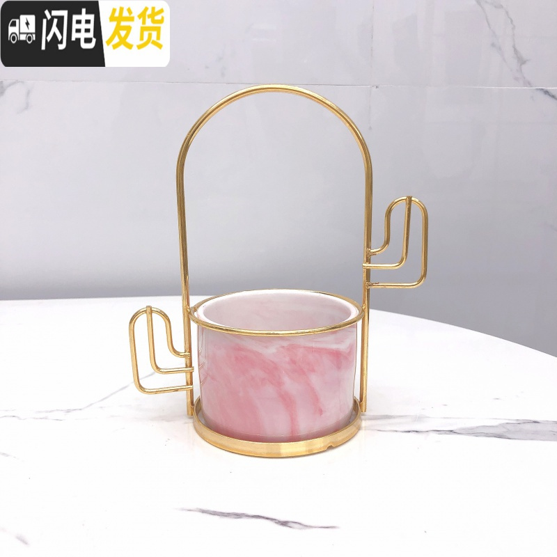 三维工匠ins北欧小清新多肉陶瓷小花盆创意个性室内好看铁艺简约客厅摆件 仙人柱架+粉盆 中花盆容器