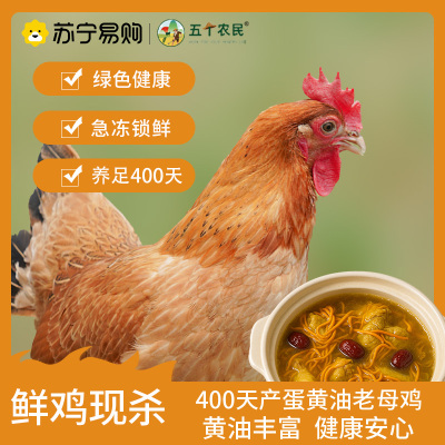 五个农民 400天黄油老母鸡 三只装 1000g/只 黄油丰富