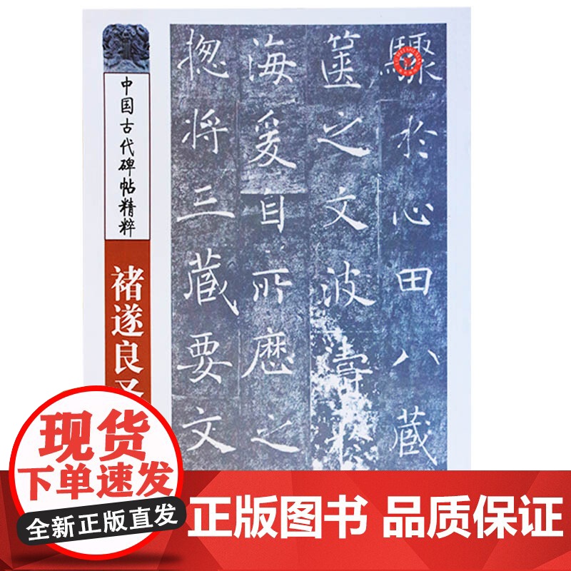 褚遂良圣教序 彭兴林 中国古代碑帖精粹名家字帖毛笔书法入门自学教材 山东美术出版社