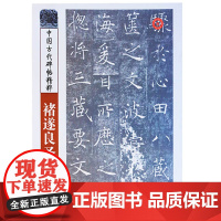褚遂良圣教序 彭兴林 中国古代碑帖精粹名家字帖毛笔书法入门自学教材 山东美术出版社