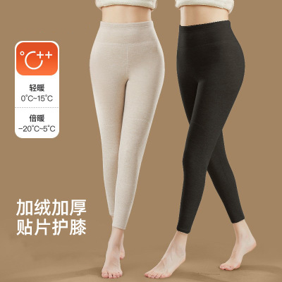 羊毛蚕丝高腰加绒保暖秋裤女无痕加厚羊羔绒保暖裤新款秋冬打底裤