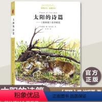 广西师范大学出版社《太阳的诗篇》299页 [正版]亲近母语 太阳的诗篇《森林报》故事精选苏联维·比安基 韦苇:译《广西