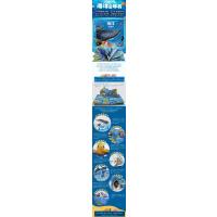 [正版新书]全套3册科普立体书8岁以上 揭秘海洋+恐龙书籍+宇宙3d版立体翻翻书 幼儿绘本海底动物世界生物书 小学生我