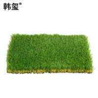 韩玺 人造仿真草坪 草皮地毯 3cm厚 /平方米