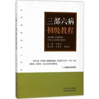 音像三部六病初级教程马文辉主编