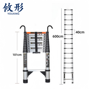 攸形 直梯600cm个
