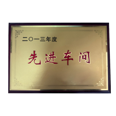 涵雅思 各类奖牌定制 350*500mm 块