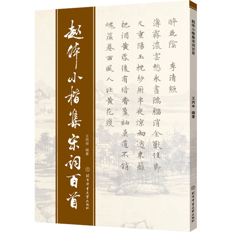 音像赵体小楷集宋词百首王丙申著