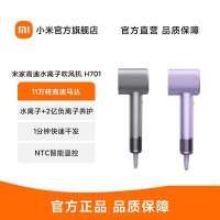 米家小米高速水离子吹风机H701 家用大风力电吹风 大功率速干降噪 双水离子护发 星钻紫 教师节礼物