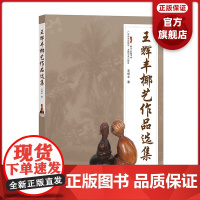 []王辉丰椰艺作品选集 椰雕,民间工艺,收藏