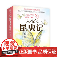 []最美的法布尔昆虫记 共12册 3~8岁 昆虫记 法布尔 自然 儿童 科普绘本 手绘 彩图 名著经典 学校读物 爱心
