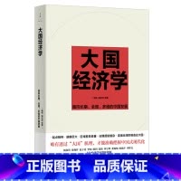 [正版]书店 书籍大国经济学(面向长期全局多维的中国发展) 十位中生代经济学家联袂创新绘制中国经济的全景图 世纪文景