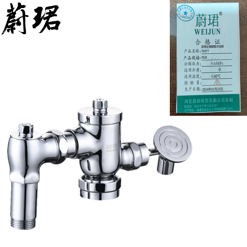 蔚珺全铜脚踏冲洗阀7635个