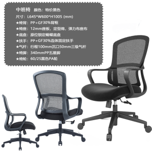 匡大办公椅高级办公椅人体工学电脑椅CH-519网椅办公椅