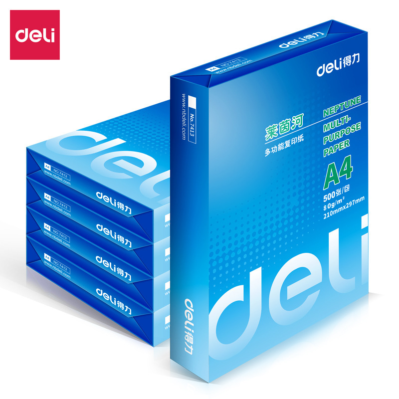 得力 7419 复印纸莱茵河80克A4 打印纸 a4复印纸白纸 5包/箱 1箱价格