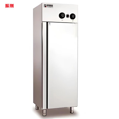 振刚单门热风循环消毒柜单热风 台