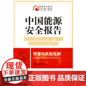 中国能源安全报告预警与风险化解