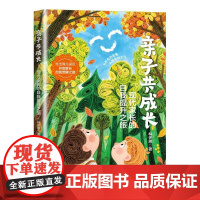 子共成长 现代家长的自我提升之旅 林怀恩 中国铁道出版社9787113321895
