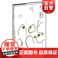 无知 精装/米兰昆德拉作品全新系列 许钧译 外国文学小说书籍 小说评论 代表作/不能承受的生命之轻/笑忘录 上海译文 世