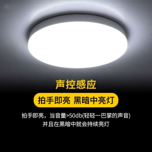 苏宁放心购 声控感应灯光控雷达楼梯间创意现代吸顶灯小区学校过道楼道走廊玄关阳台人体车库玄关LED灯具灯饰