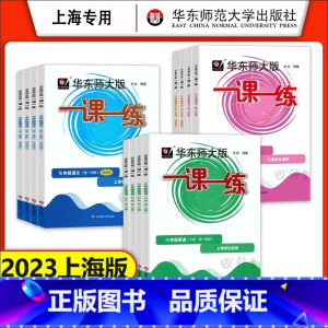 [3册]语数英 普通版 六年级上 [正版]2023华东师大版一课一练沪教版六七八年级上册下册语文数学英语物理化学普通版增