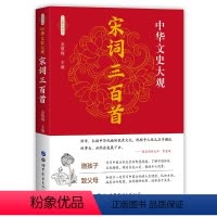 [正版]中华文史大观 宋词三百首 全注全译无障碍阅读 中国诗词大会古诗词鉴赏赏析 中学生宋词语文阅读书 传统文化国学畅