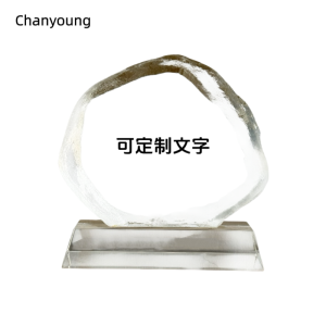 晨洋(Chanyoung)可定制桌面摆件奖牌 HYBG018 个